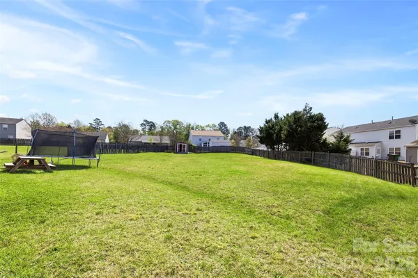 a view of a field with plants and trees
