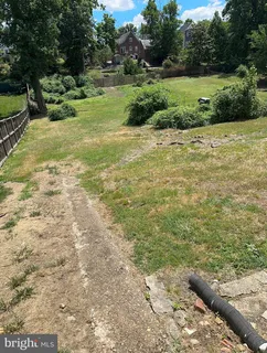 a view of a field with an trees