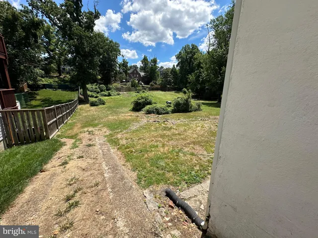 a view of a yard with plants