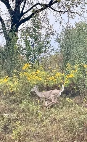 $319,988 | 573 Chesnic Drive, Canonsburg, PA 15317