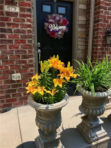 a view of a swimming pool and a yard