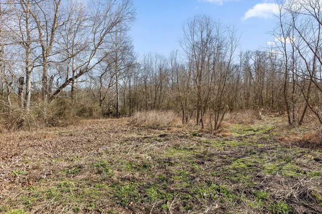 $225,000 | 10.12 Old State Highway 28, Dunlap, TN 37327