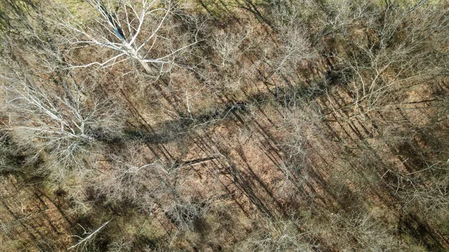 $225,000 | 10.12 Old State Highway 28, Dunlap, TN 37327