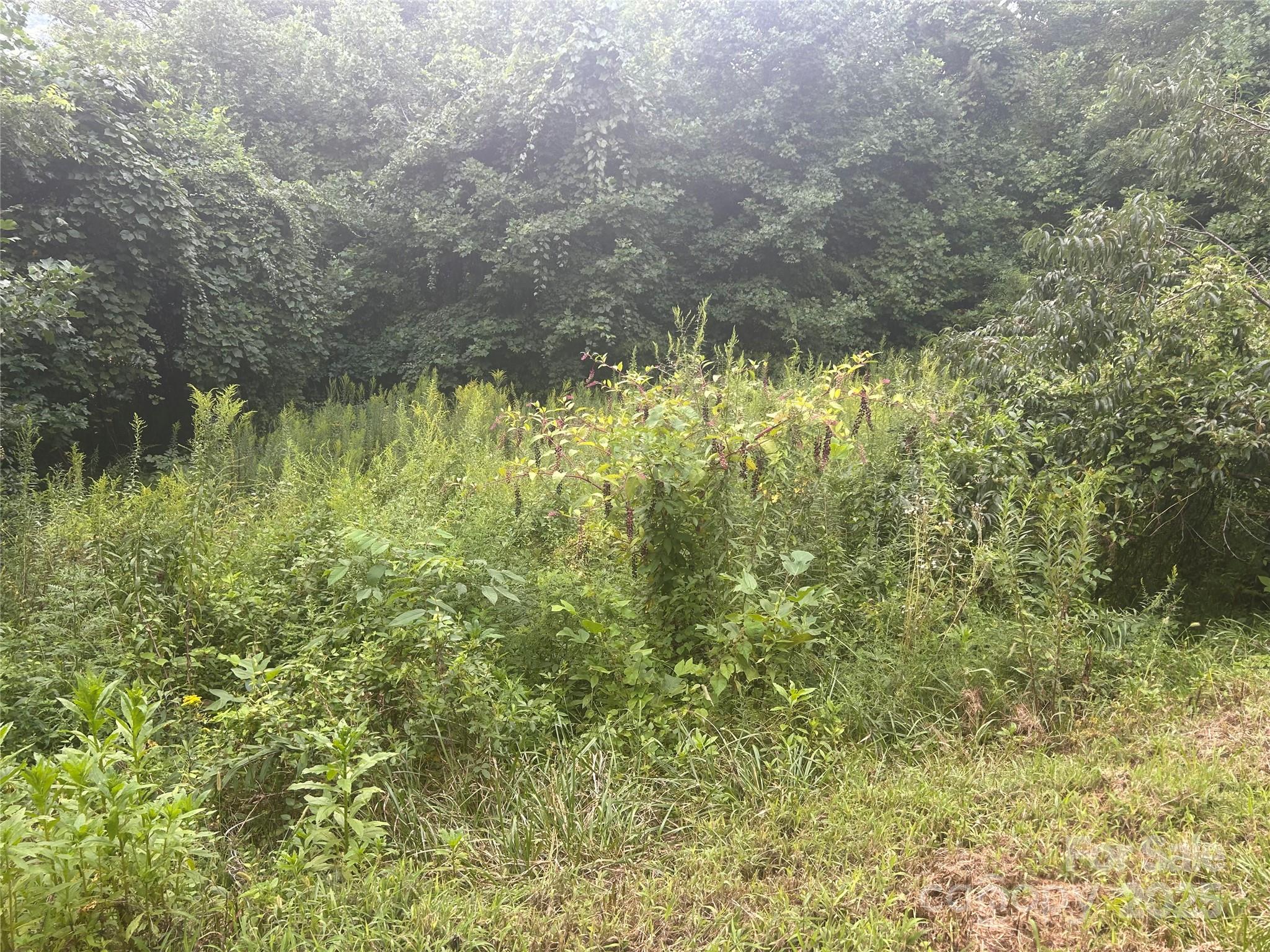 103 Cambridge Way Waynesville, NC 28786 - Photo 3 of 6 a view of a lake view