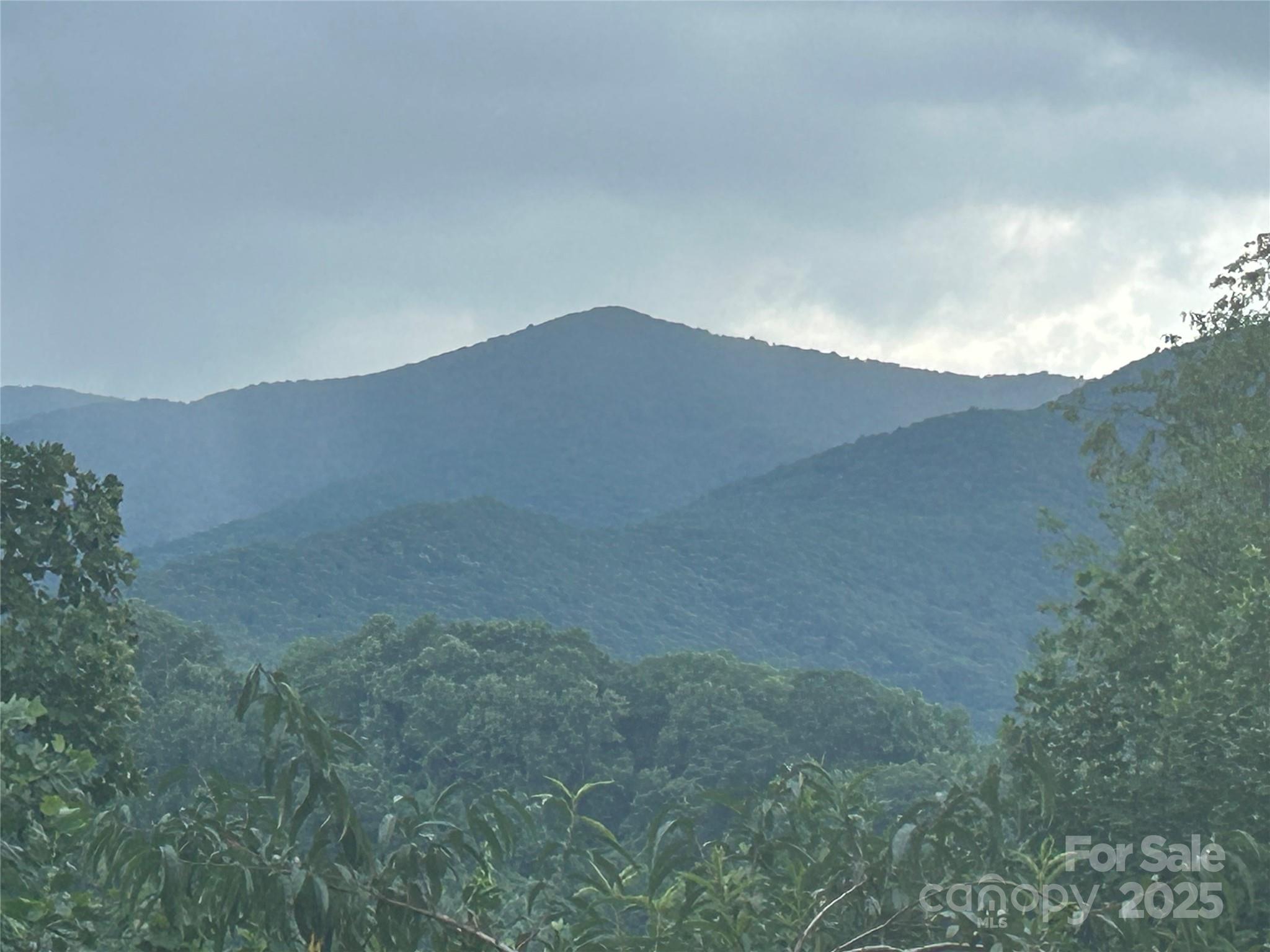 103 Cambridge Way Waynesville, NC 28786 - Photo 6 of 6 a view of a dry yard with mountains in the background