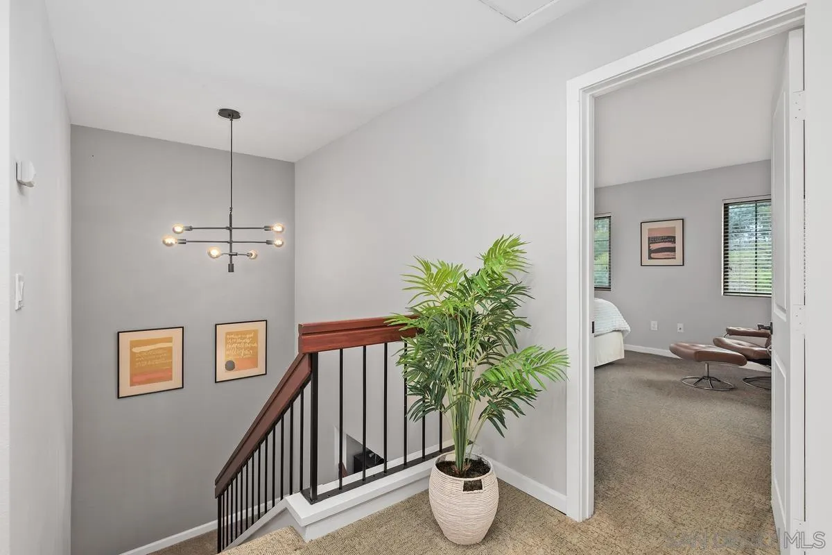 2206 Summerhill Drive Encinitas, CA 92024 - Photo 21 of 33 a view of a living room and a potted plant