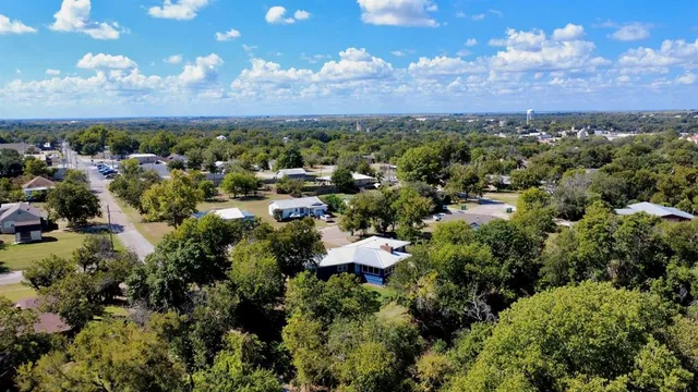 a view of a garden with plants