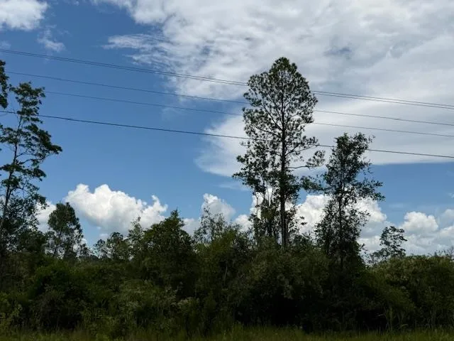 $107,000 | Tbd Albert Hendry Road, Greenville, FL 32331