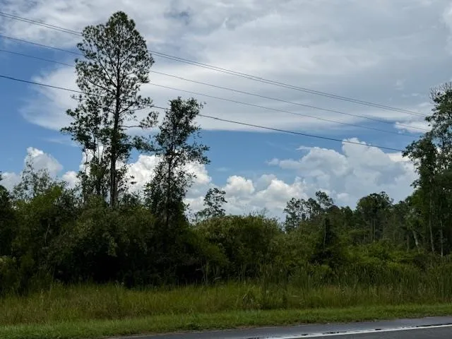 $107,000 | Tbd Albert Hendry Road, Greenville, FL 32331