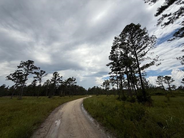 Tbd Albert Hendry Road Greenville, FL 32331 - Photo 13 of 32