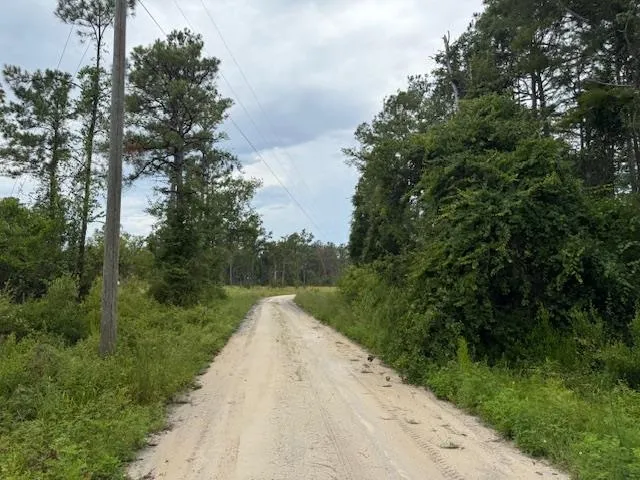 $107,000 | Tbd Albert Hendry Road, Greenville, FL 32331
