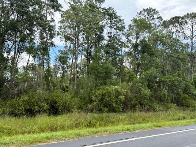 Tbd Albert Hendry Road Greenville, FL 32331 - Photo 15 of 32