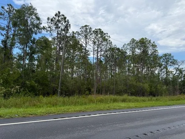 $107,000 | Tbd Albert Hendry Road, Greenville, FL 32331