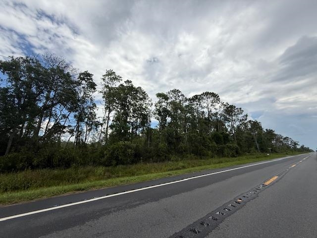 Tbd Albert Hendry Road Greenville, FL 32331 - Photo 17 of 32
