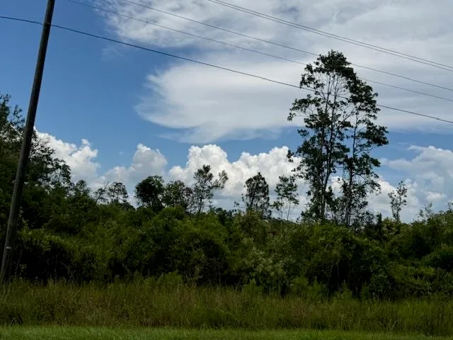$107,000 | Tbd Albert Hendry Road, Greenville, FL 32331