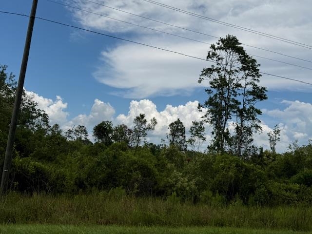 Tbd Albert Hendry Road Greenville, FL 32331 - Photo 18 of 32