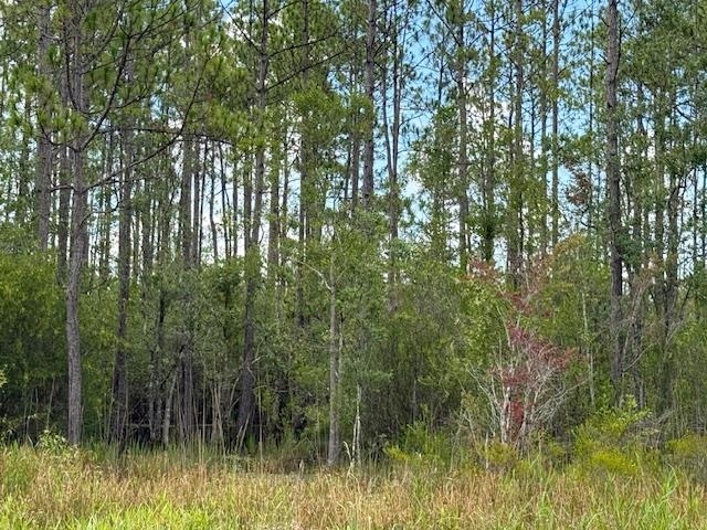 Tbd Albert Hendry Road Greenville, FL 32331 - Photo 19 of 32