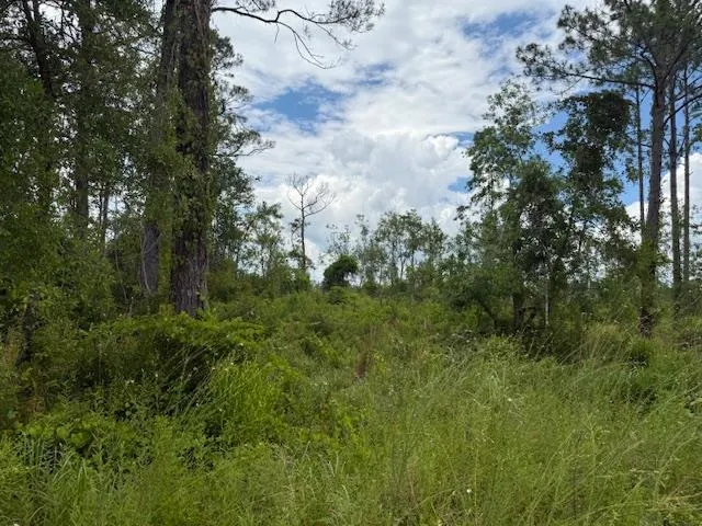 $107,000 | Tbd Albert Hendry Road, Greenville, FL 32331