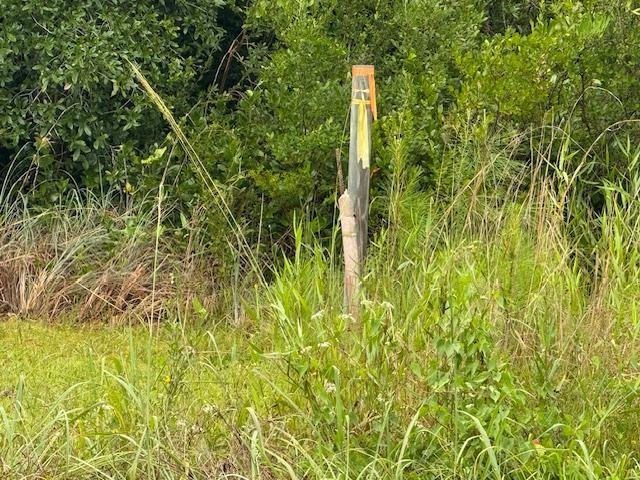 Tbd Albert Hendry Road Greenville, FL 32331 - Photo 2 of 32