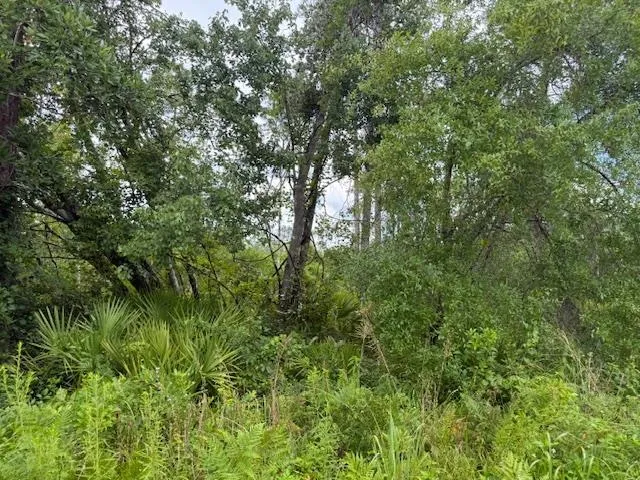 $107,000 | Tbd Albert Hendry Road, Greenville, FL 32331
