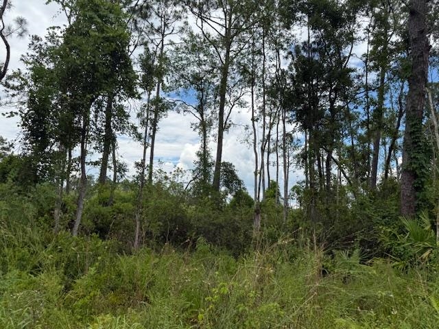 Tbd Albert Hendry Road Greenville, FL 32331 - Photo 22 of 32