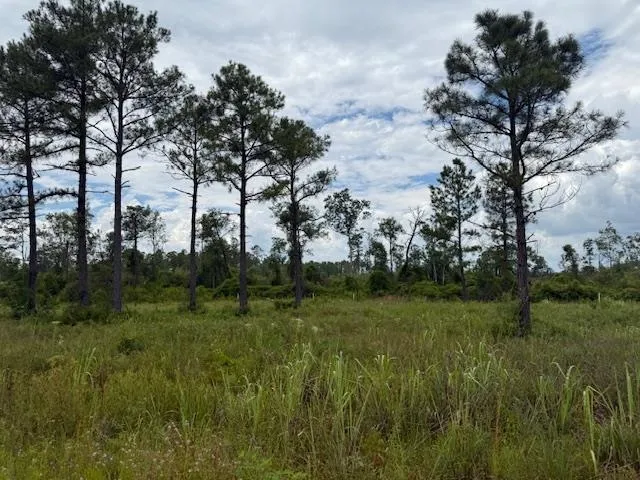 $107,000 | Tbd Albert Hendry Road, Greenville, FL 32331