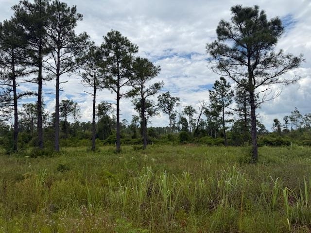 Tbd Albert Hendry Road Greenville, FL 32331 - Photo 23 of 32