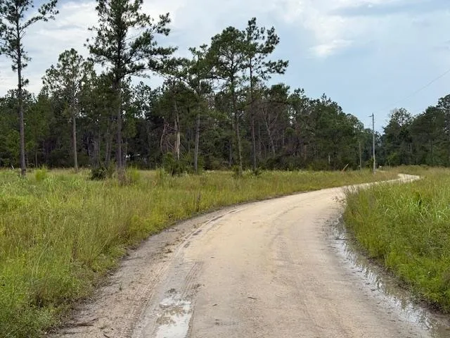 $107,000 | Tbd Albert Hendry Road, Greenville, FL 32331