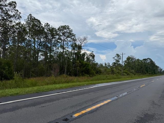 Tbd Albert Hendry Road Greenville, FL 32331 - Photo 25 of 32