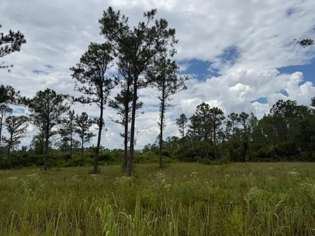 $107,000 | Tbd Albert Hendry Road, Greenville, FL 32331