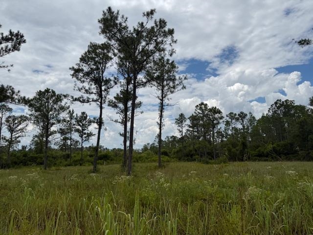 Tbd Albert Hendry Road Greenville, FL 32331 - Photo 26 of 32