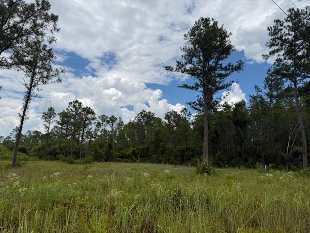 Tbd Albert Hendry Road Greenville, FL 32331 - Photo 27 of 32