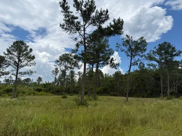 $107,000 | Tbd Albert Hendry Road, Greenville, FL 32331