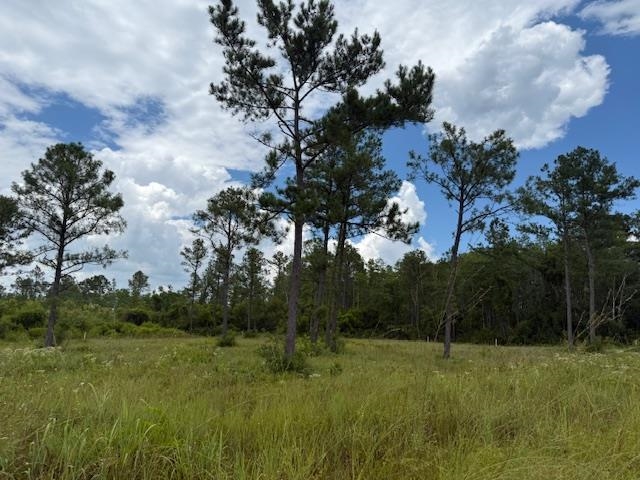 Tbd Albert Hendry Road Greenville, FL 32331 - Photo 28 of 32