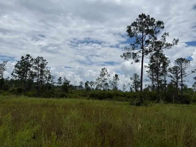 $107,000 | Tbd Albert Hendry Road, Greenville, FL 32331