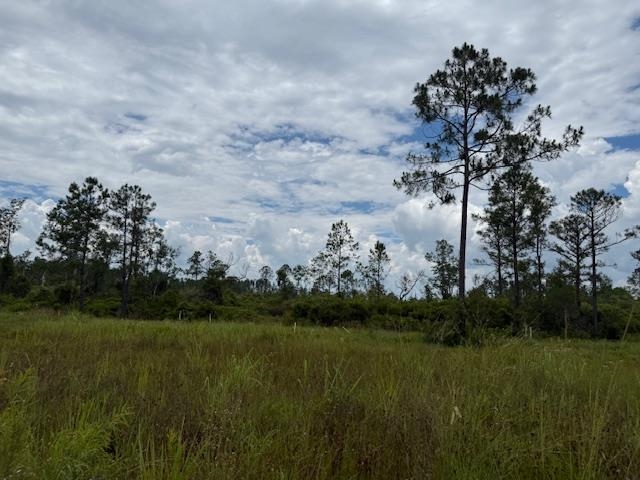 Tbd Albert Hendry Road Greenville, FL 32331 - Photo 29 of 32