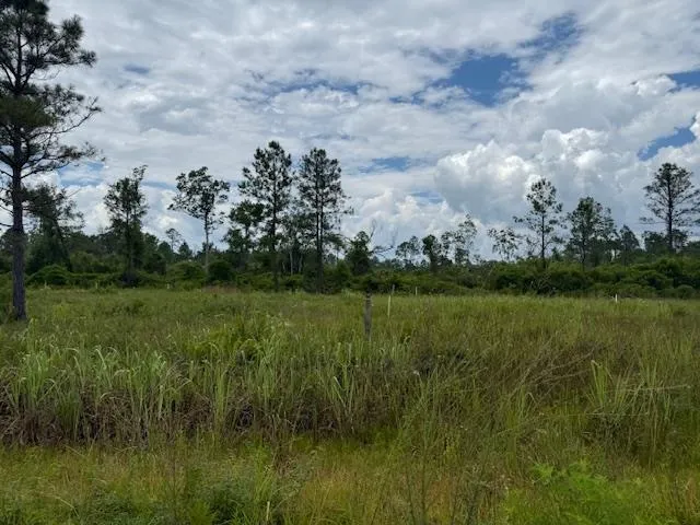 $107,000 | Tbd Albert Hendry Road, Greenville, FL 32331
