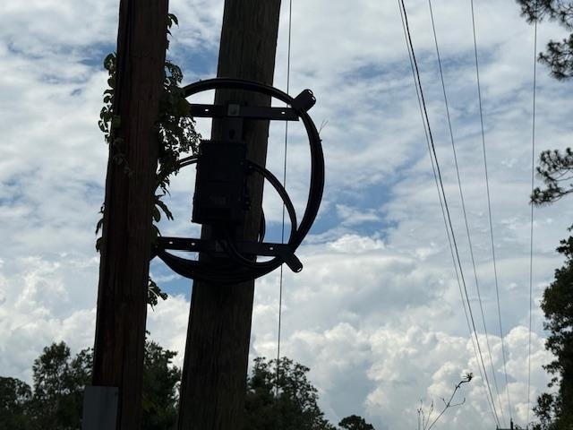 Tbd Albert Hendry Road Greenville, FL 32331 - Photo 3 of 32