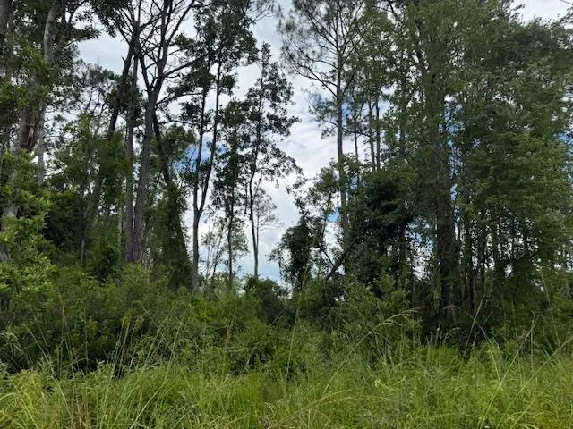 $107,000 | Tbd Albert Hendry Road, Greenville, FL 32331