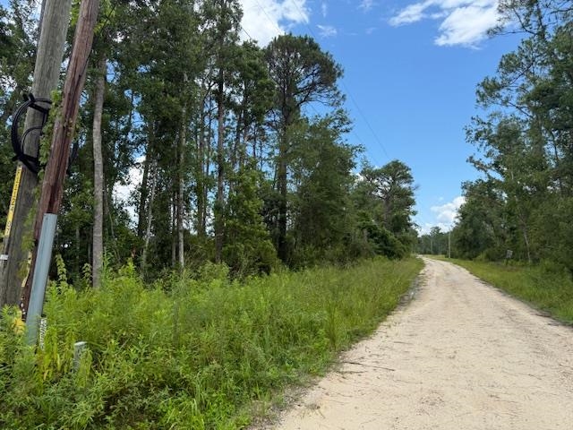 Tbd Albert Hendry Road Greenville, FL 32331 - Photo 32 of 32