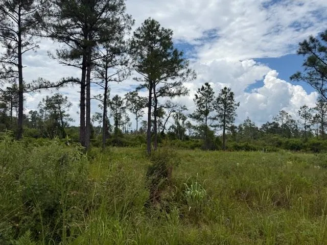 $107,000 | Tbd Albert Hendry Road, Greenville, FL 32331