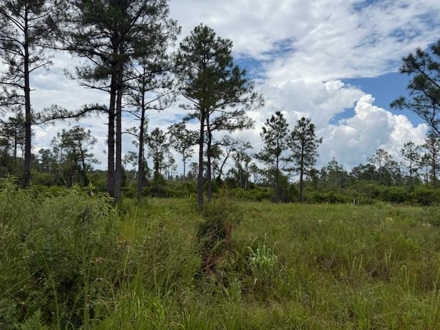 Tbd Albert Hendry Road Greenville, FL 32331 - Photo 4 of 32