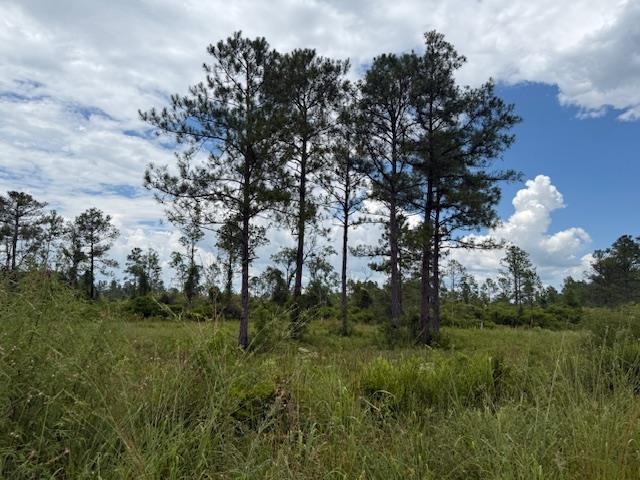 Tbd Albert Hendry Road Greenville, FL 32331 - Photo 5 of 32