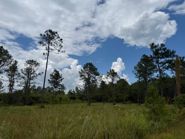 $107,000 | Tbd Albert Hendry Road, Greenville, FL 32331