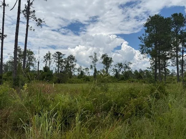 $107,000 | Tbd Albert Hendry Road, Greenville, FL 32331