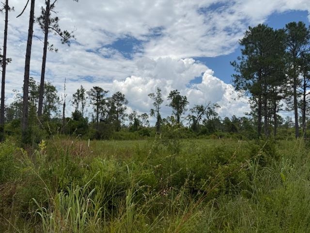 Tbd Albert Hendry Road Greenville, FL 32331 - Photo 7 of 32