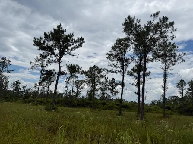 $107,000 | Tbd Albert Hendry Road, Greenville, FL 32331