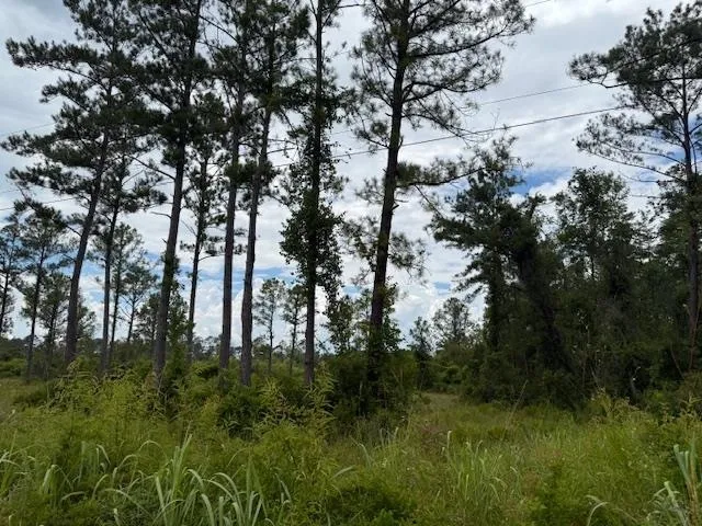$107,000 | Tbd Albert Hendry Road, Greenville, FL 32331