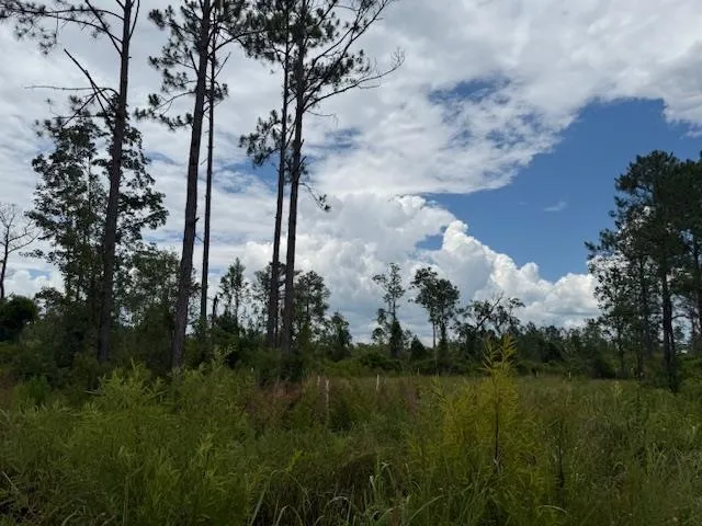 $107,000 | Tbd Albert Hendry Road, Greenville, FL 32331