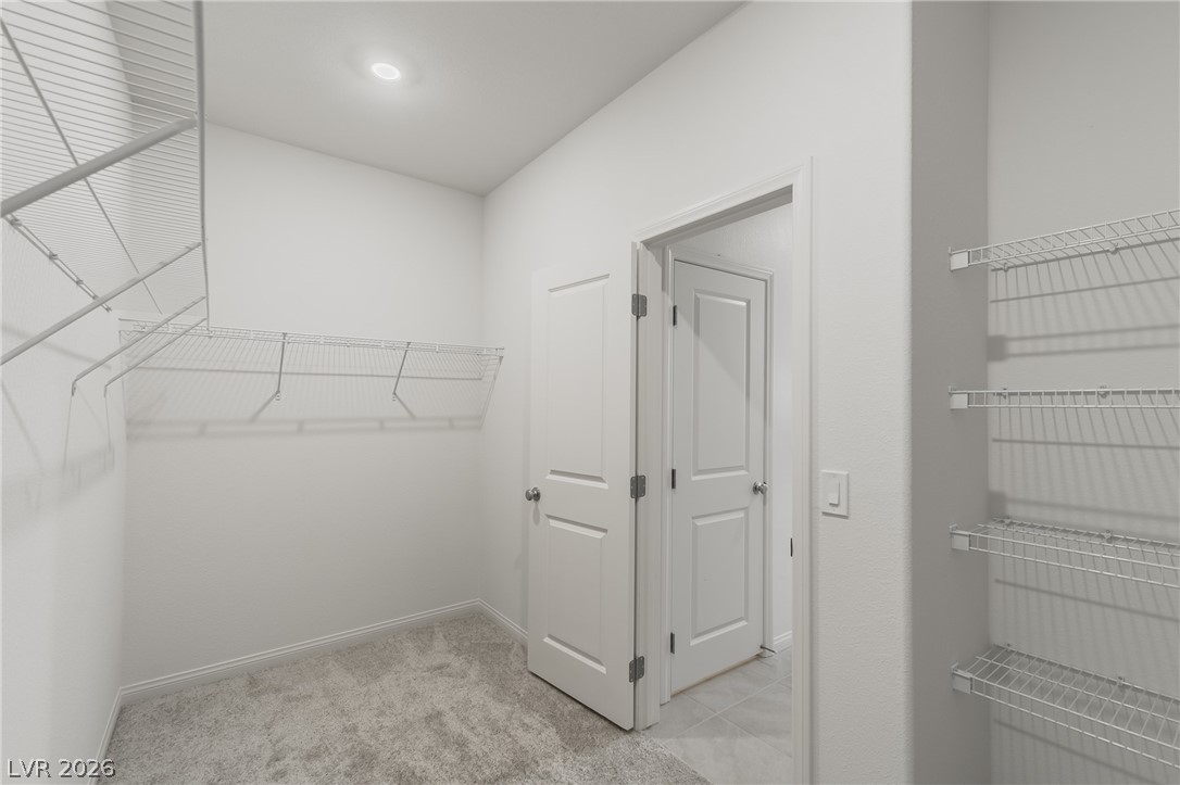 3765 Osiris Avenue Henderson, NV 89044 - Photo 15 of 40 Walk in closet featuring light colored carpet